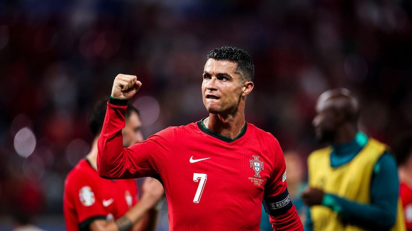 温暖的小动 温暖的小动